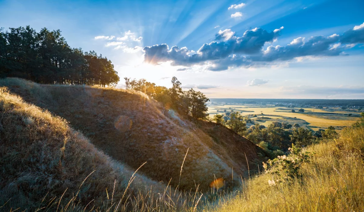Gdzie znaleźć pomoc prawną?