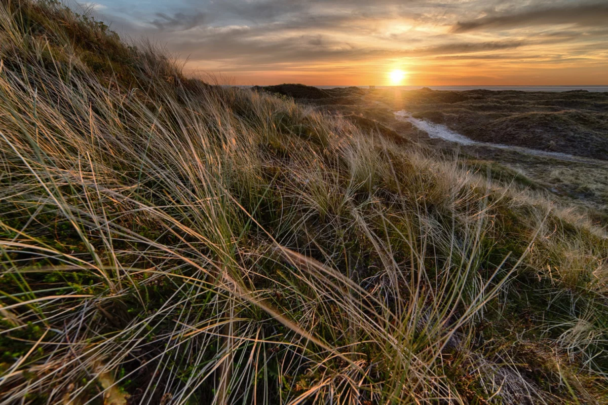 W praktyce i nie w praktyce o akcesoriach meblowych na event