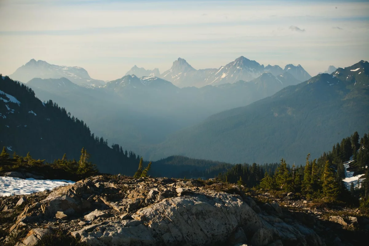 Oprogramowanie dla firm