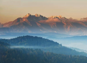 Zrób to wreszcie! Zacznij kupić kwiaty już w 6 dni!