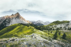 Od kiedy zmiany w tym jak kupić para cord?